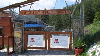 Спасеното мече в Родопите е на 4 месеца, вече е в Парка на танцуващите мечки