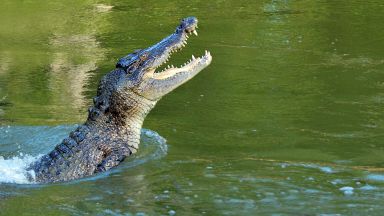 Крокодил нападна 28 годишни близначки от Великобритания които плували в лагуна близо