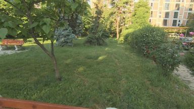 Куриозен случай от столичния квартал Красно село доброволци които