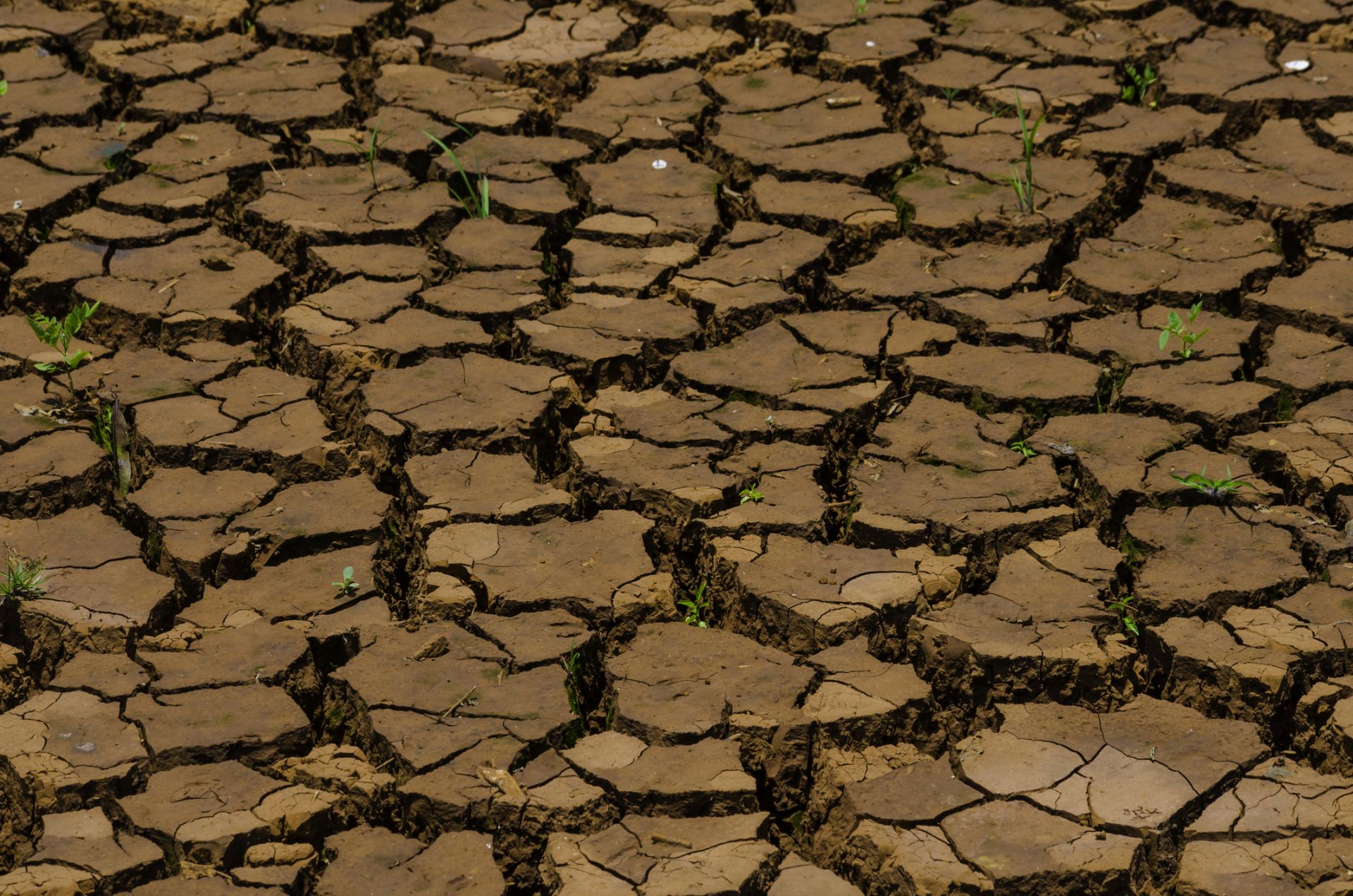 Рекордна суша заплашва икономиката на Бразилия