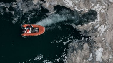 Морската слуз която се превърна в напаст за Мраморно море