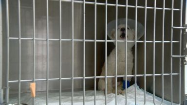 Под ръководството и надзора на Софийска районна прокуратура е образувано