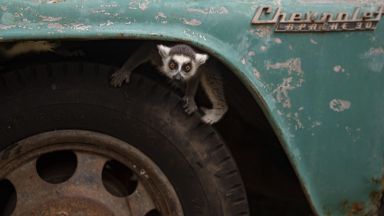 Възраждането на най засегнатите от BLM протестите градове и възстановяването на полицейската