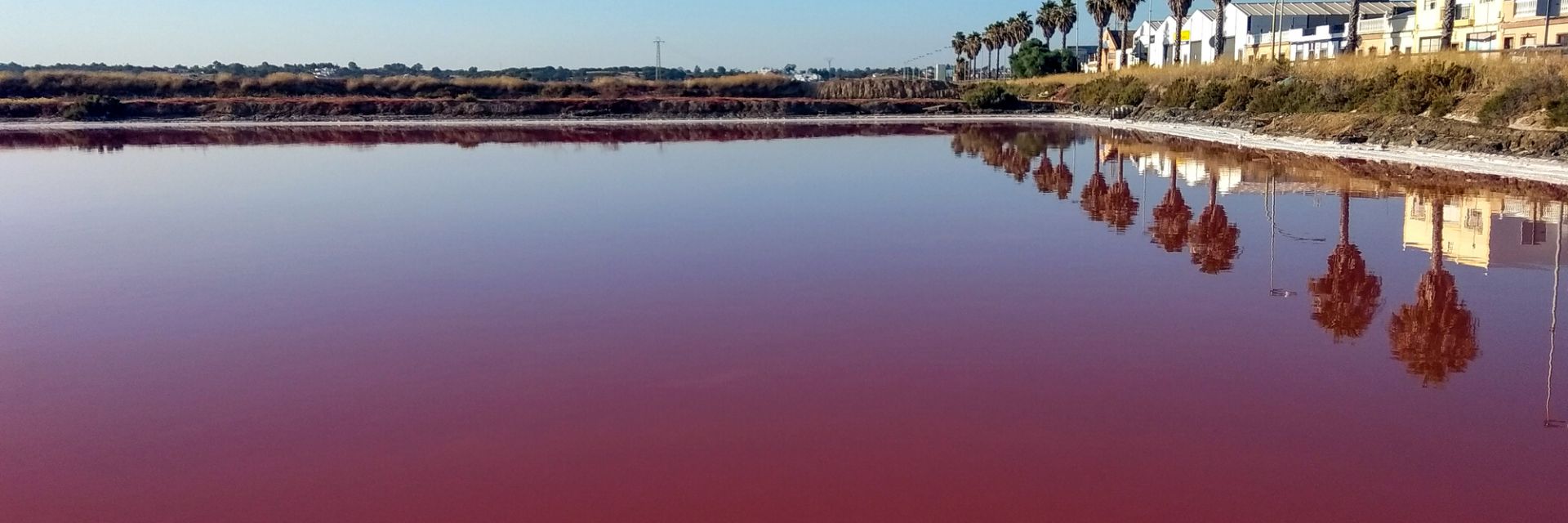 Exxon ще започне да произвежда литий, за да задоволи нарастващото търсене на батерии