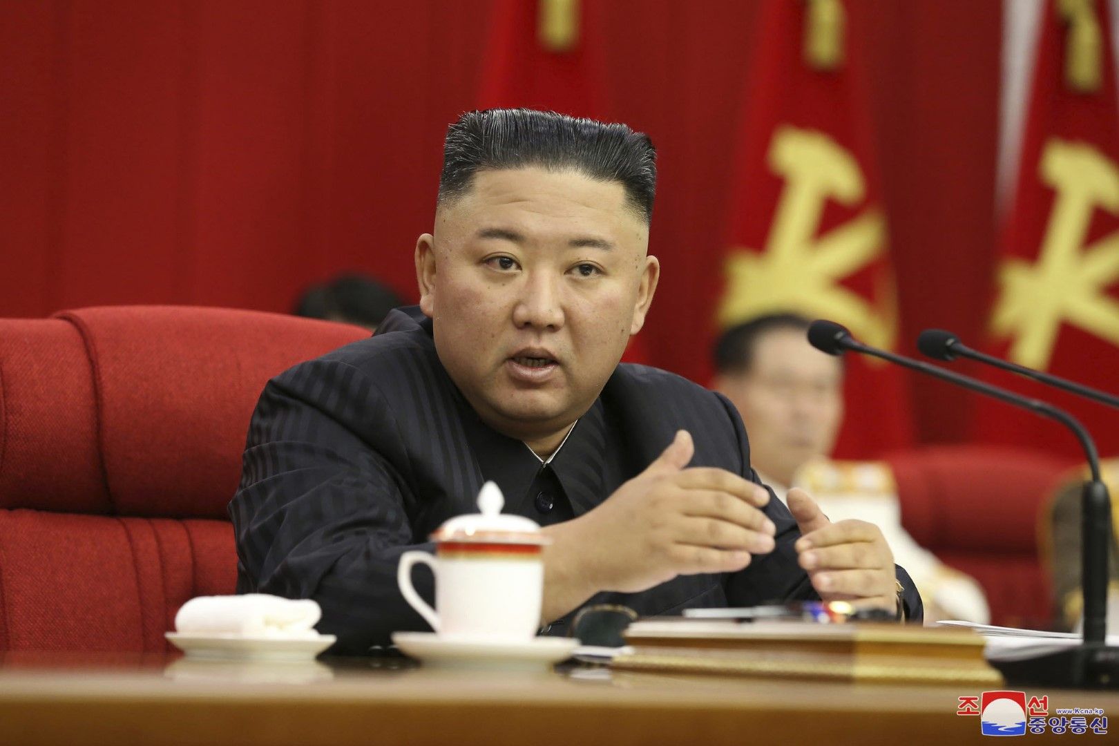 Лидерът на Северна Корея Ким Чен-ун и президентът на Южна Корея Мун Дже-ин са изразили желание да възстановят доверието между двете страни