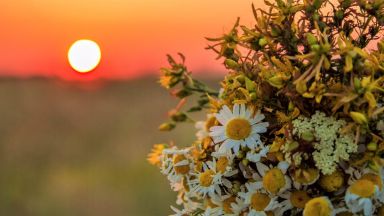 Българската православна църква почита днес църковния празник за Рождението на