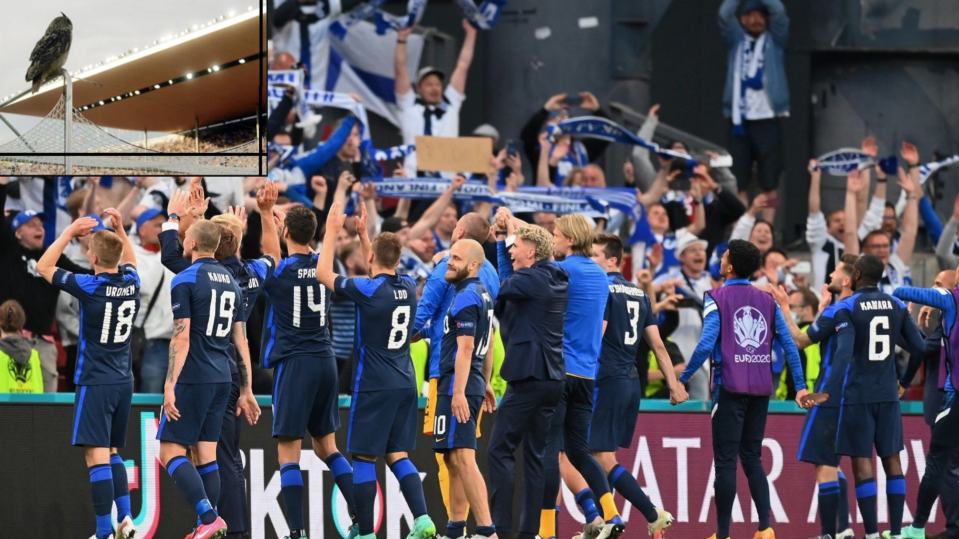 Мачът на совата или как Финландия ще черпи вдъхновение срещу Белгия