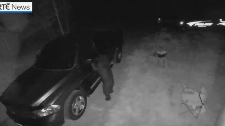 Голяма черна мечка, заснета от охранителни камери да се качва