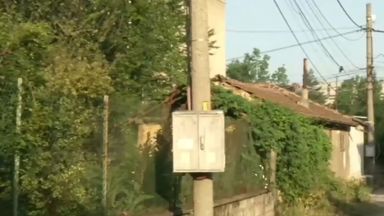 Неизвестен стреля по домашни котки в оживен квартал до училище