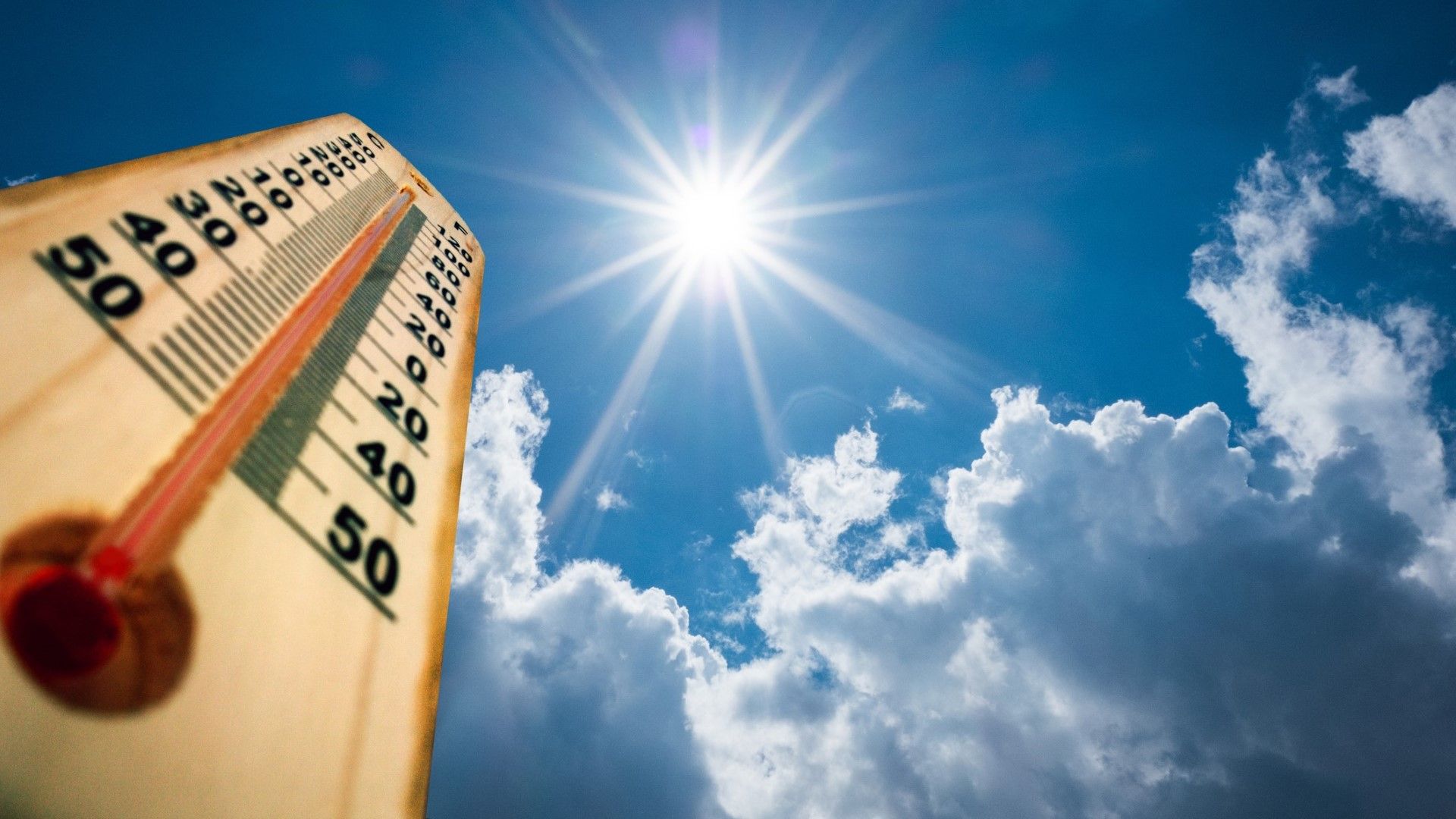 Миналото лято в Европа е било най-горещото в историята на измерванията