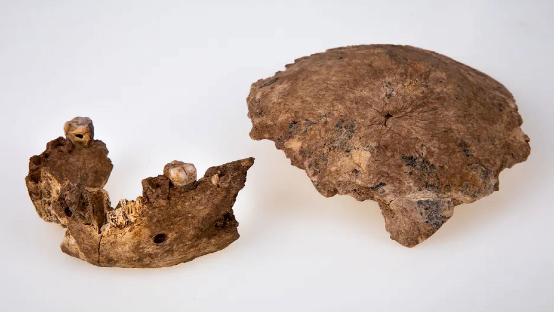 Непознат вид древен човек беше идентифициран в Израел