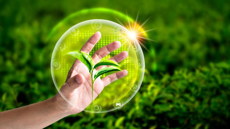 Малко неща са по-важни от печалбата, когато става дума за