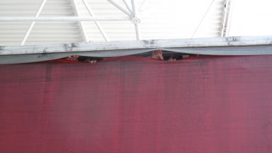 Осем мигранти от Афганистан бяха открити тази сутринта в ТИР