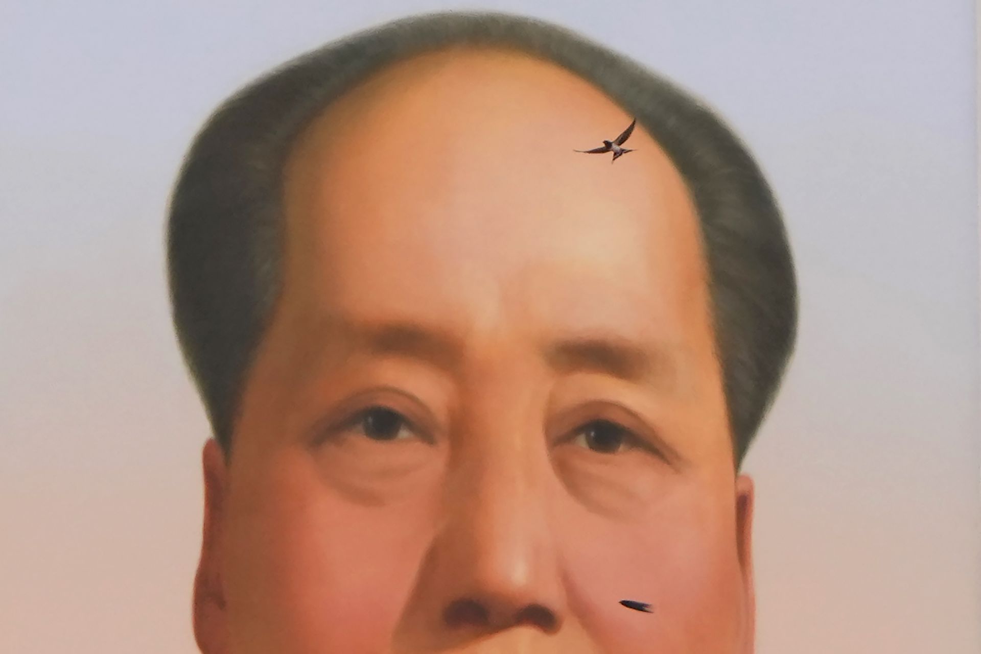  Лястовица лети покрай портрета на починалия китайски водач Мао Дзедун по време на гала във връзка 100-годишнината от основаването на ръководещата китайска комунистическа партия на портата Тянанмън в Пекин 