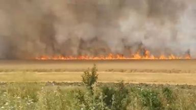 Голям пожар бушува край автомагистрала Тракия в района на Стара