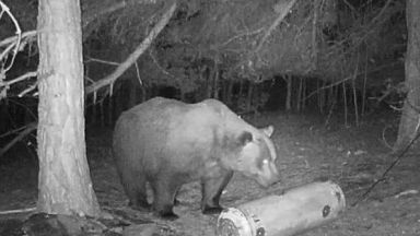 Хора от цялата страна се събраха на протест в защита на