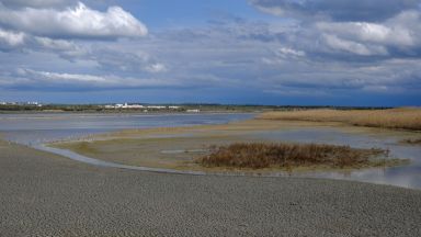 Природозащитници алармират за предстояща екокатастрофа в Атанасовското езеро край Бургас
