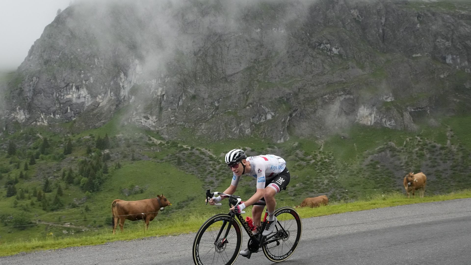 Шампионът Погачар взе жълтата фланелка в "Тур дьо Франс"