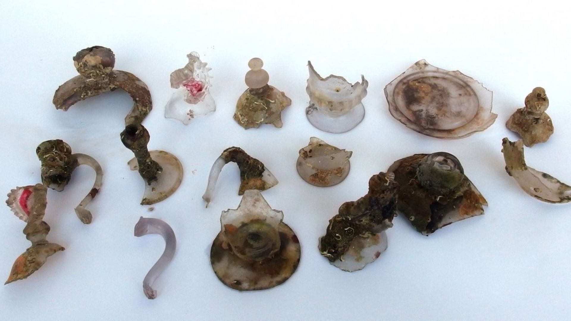 Археолози извадиха уникални находки от залива "Ченгене скеле"