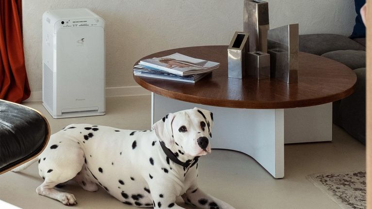 Според тестове, проведени в лабораториите на Института Пастьор де Лил,