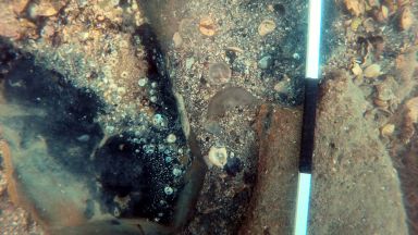 Десетки фрагменти от изящни стъклени съдове са открити на морското