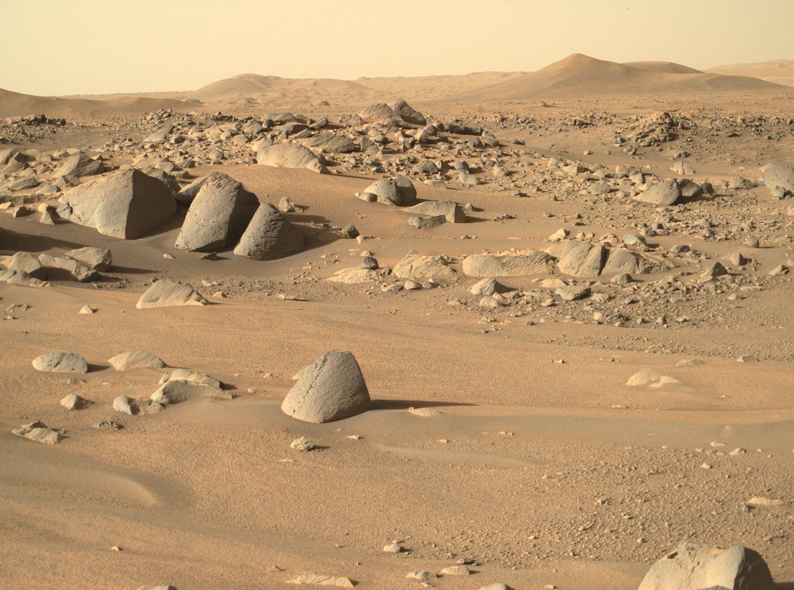 При експериментите ще бъдат разгледани реалистични ситуации за Марс, съобщиха от НАСА