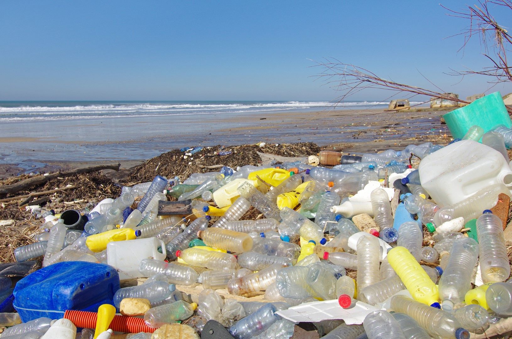  Светът трябва спешно да прекрати замърсяването на океаните с пластмаса, предупреждават еколози