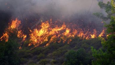 Три противопожарни самолета Канадеър и два хеликоптера участват в потушаването