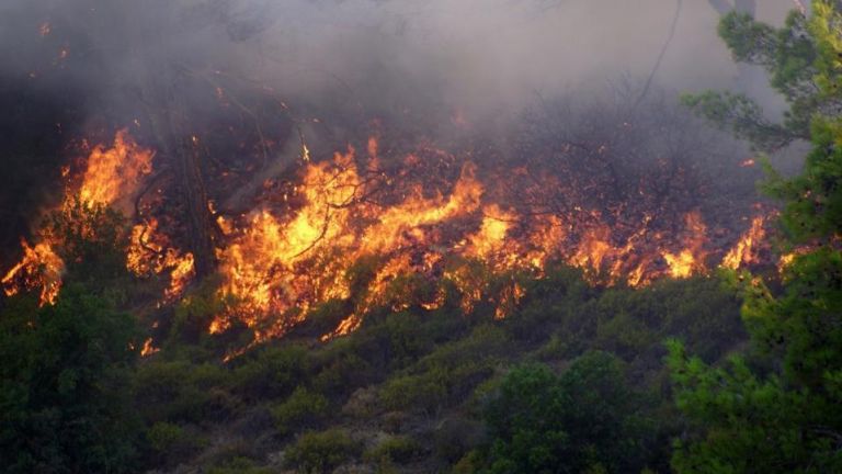 Три противопожарни самолета Канадеър и два хеликоптера участват в потушаването