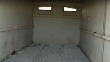 Снимки на кучета в клетки затворени в контейнер при рекордна