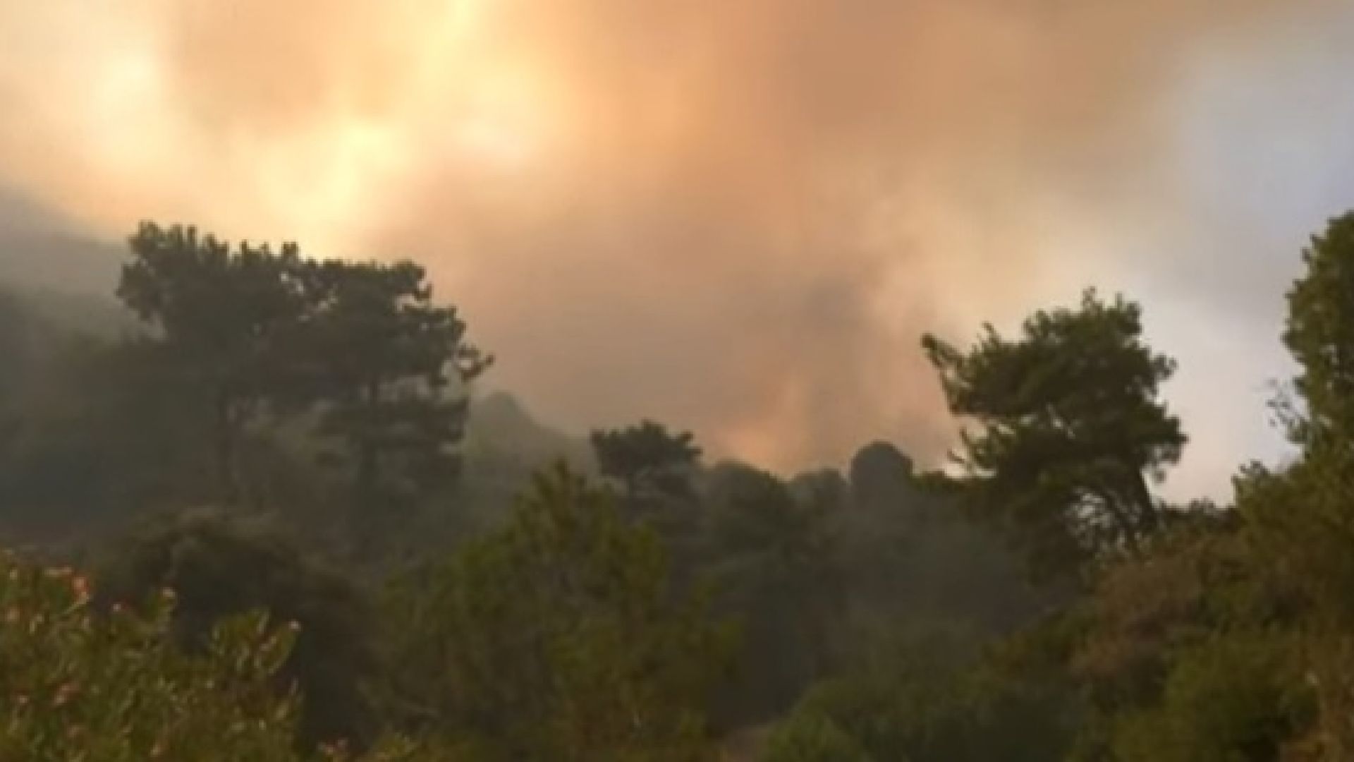 Голям пожар на остров Самос в Гърция, евакуират туристи и местни жители (видео)