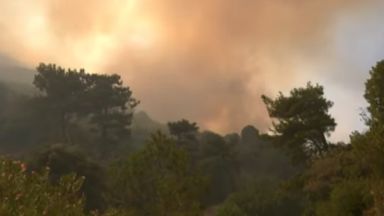 В Гърция евакуираха туристи и местни жители заради пожар на