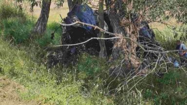 Със 150 км в час е шофирало 17 годишното момиче което