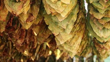 По над 8 милиона души умират годишно от заболявания свързани