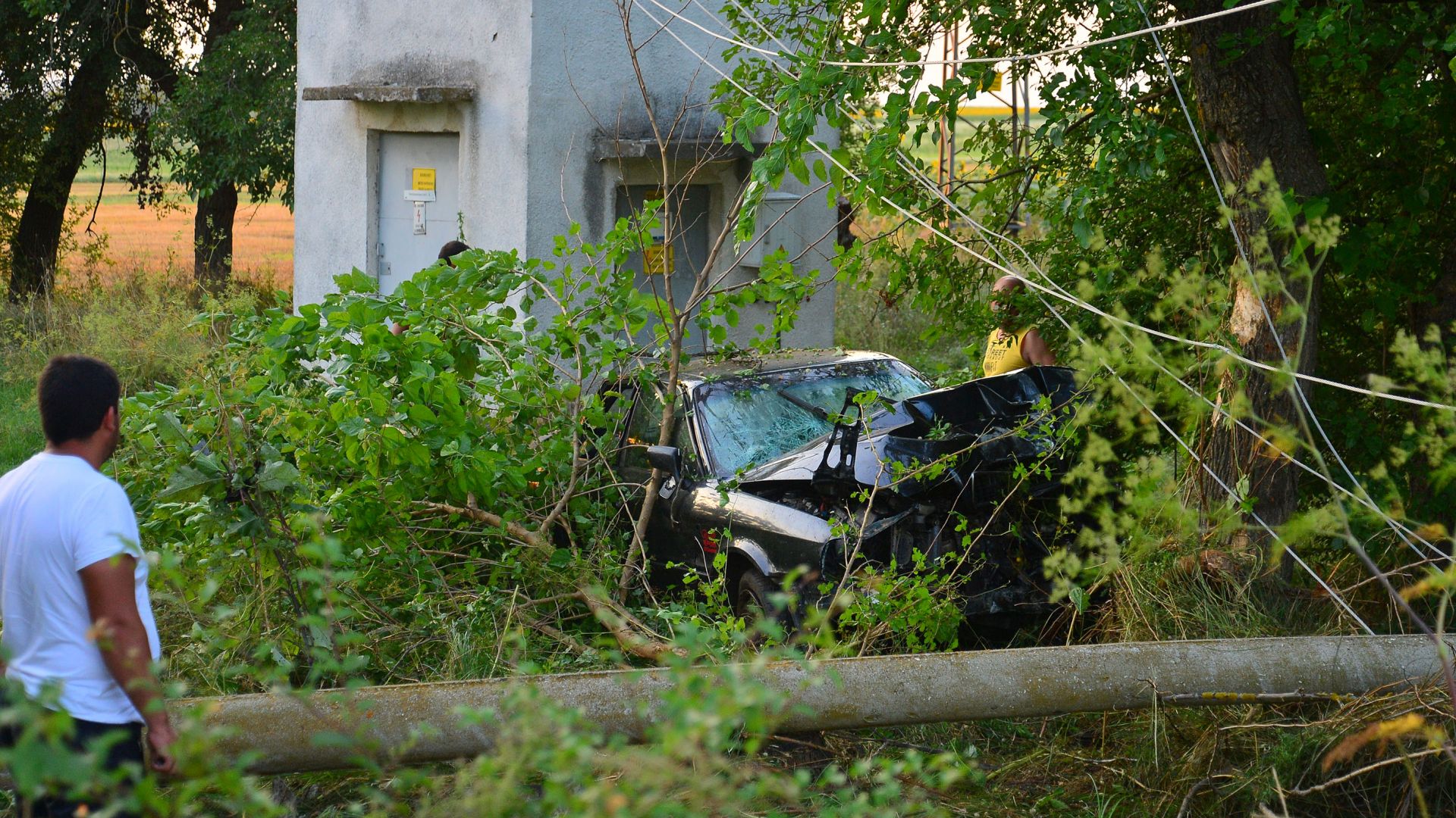 Силен вятър причини големи щети в Сливен, дървета паднаха върху коли