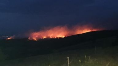 Горски пожар се е разгорял следобяд днес в иглолистен масив