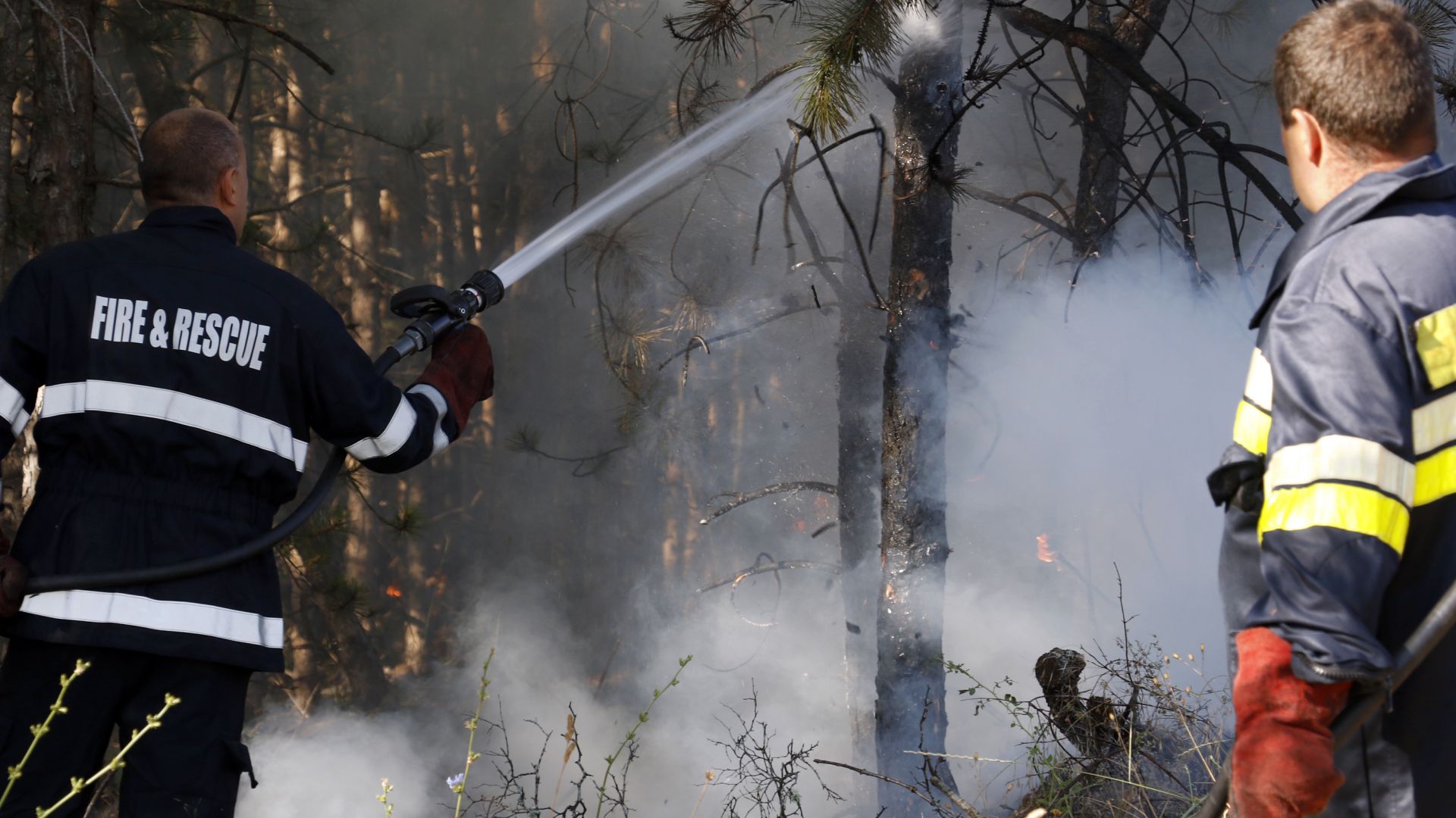 Втори ден бушува пожар в борова гора в Пазарджишко, хеликоптер се включи в гасенето (обновена)