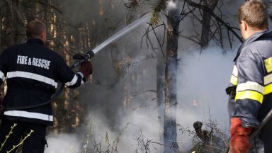 Голям горски пожар бушува над село Илинденци в полите на Пирин (видео)