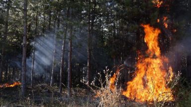 Продължава борбата с пламъците в Сакар Все още има активни