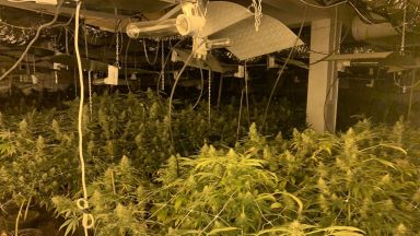 Служителите от сектор Противодействие на криминалната престъпност в ОДМВР Русе разкриха