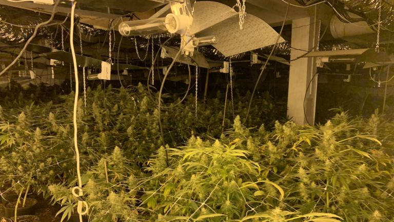 Служителите от сектор Противодействие на криминалната престъпност в ОДМВР-Русе разкриха