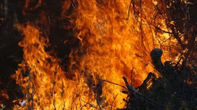 Пламна борова гора край Твърдица, военните изпратиха хеликоптер