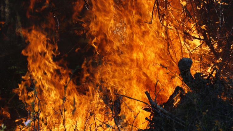 Само ден след в Сакар планина, районът отново е в
