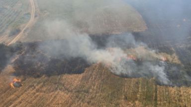 Голям пожар се разрази днес край благоевградското село Бучино като