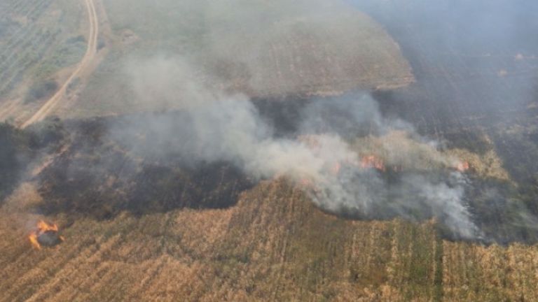 Голям пожар се разрази днес край благоевградското село Бучино, като