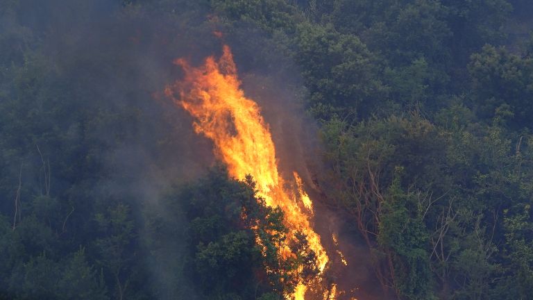 Пожар бушува до газопровода край Благоевград, съобщиха местните медии. По