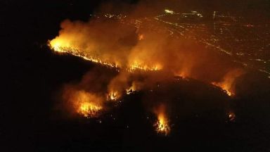 Пожарът който тръгна от нерегламентрирано сметище и запали боровата гора над