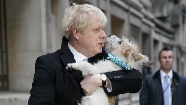 Кучето на Борис Джонсън притеснява гостите му с "романтични пориви"