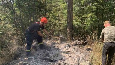Възникналият през вчерашния ден горски пожар в землището на град