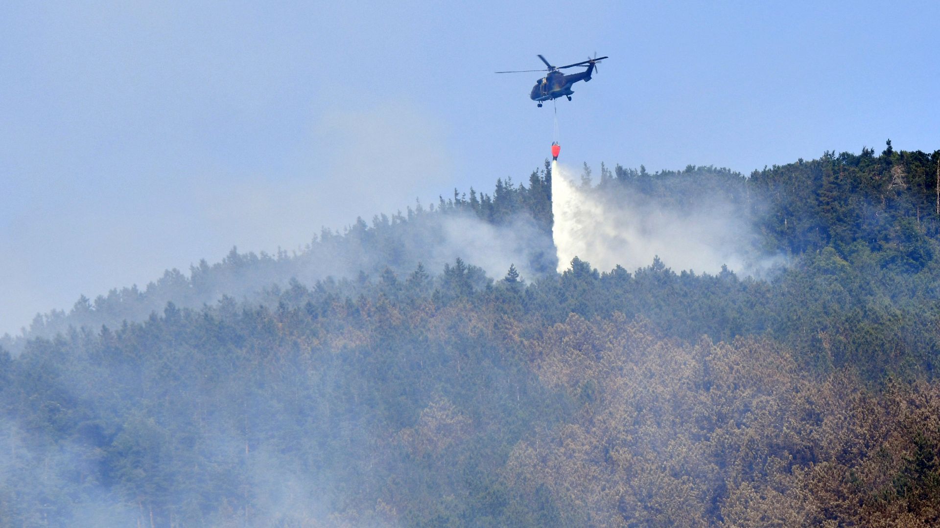 Гасиха с хеликоптер пожара край Твърдица, опожарил над 550 дка борова гора (снимки)